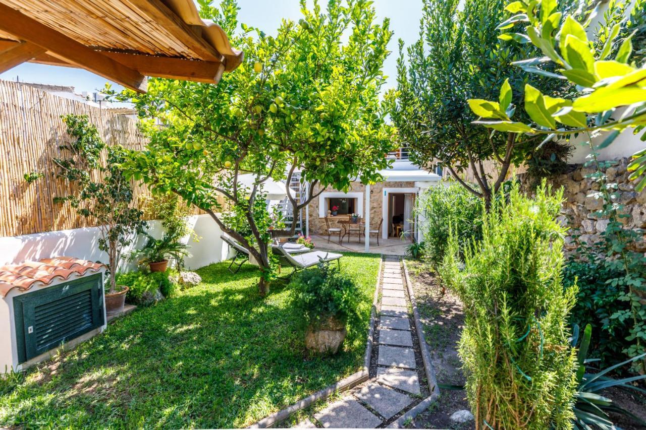 Mateu Villa Campanet